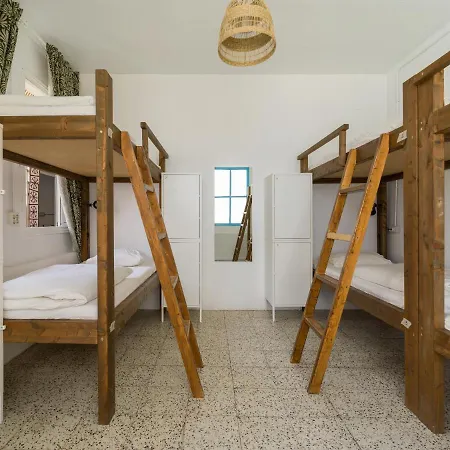 Hostal Jungle House *