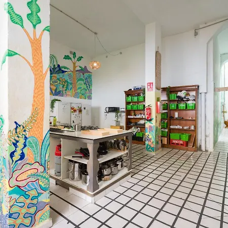 Jungle House