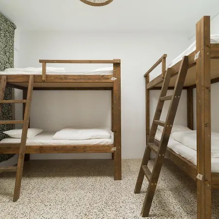 Jungle House Hostal Las Palmas de Gran Canaria