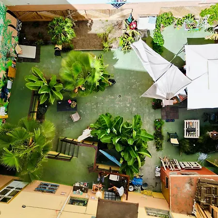 Jungle House Hostal