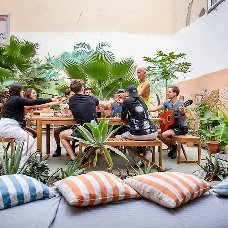 Jungle House Hostal
