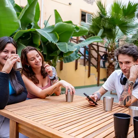 Jungle House Hostal Las Palmas de Gran Canaria
